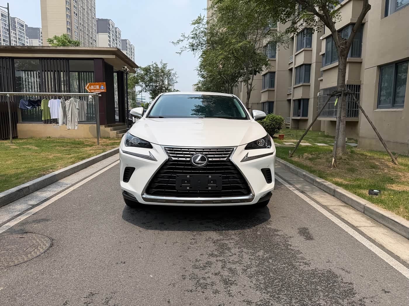 Lexus NX 2019 — Фото 2/12