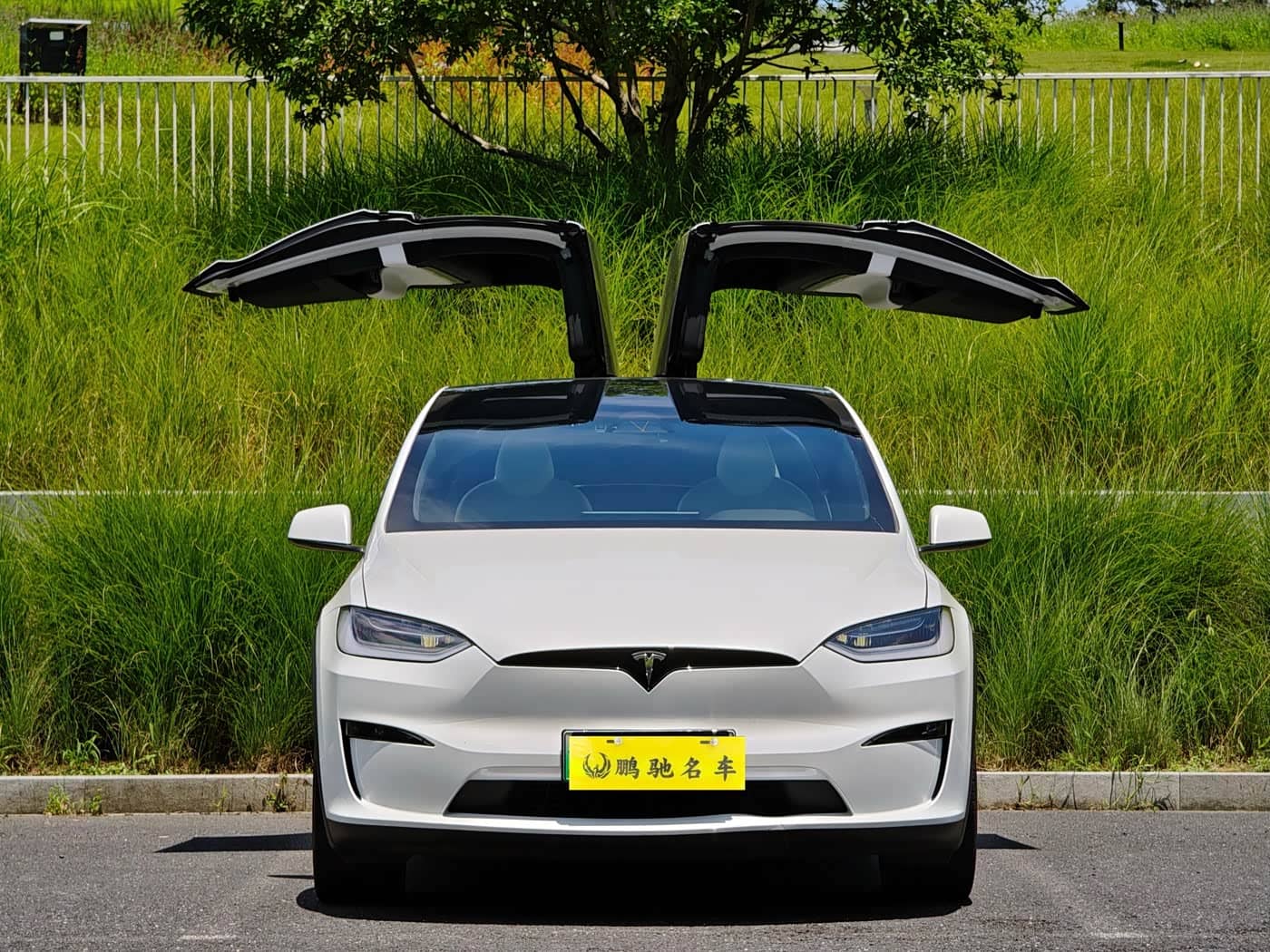 Tesla Model X, 2023