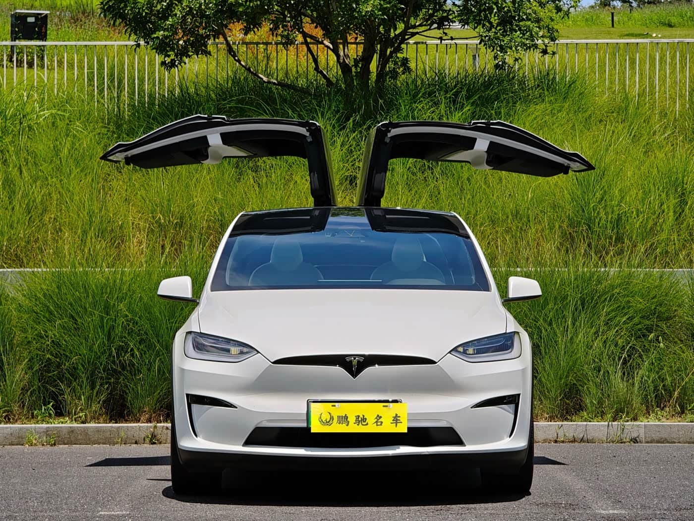 Tesla Model X 2023 — Фото 1/11