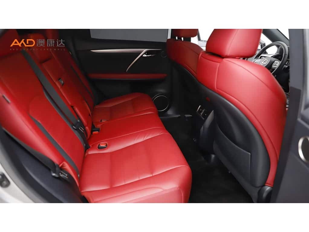 Lexus RX 2020 — Фото 8/10