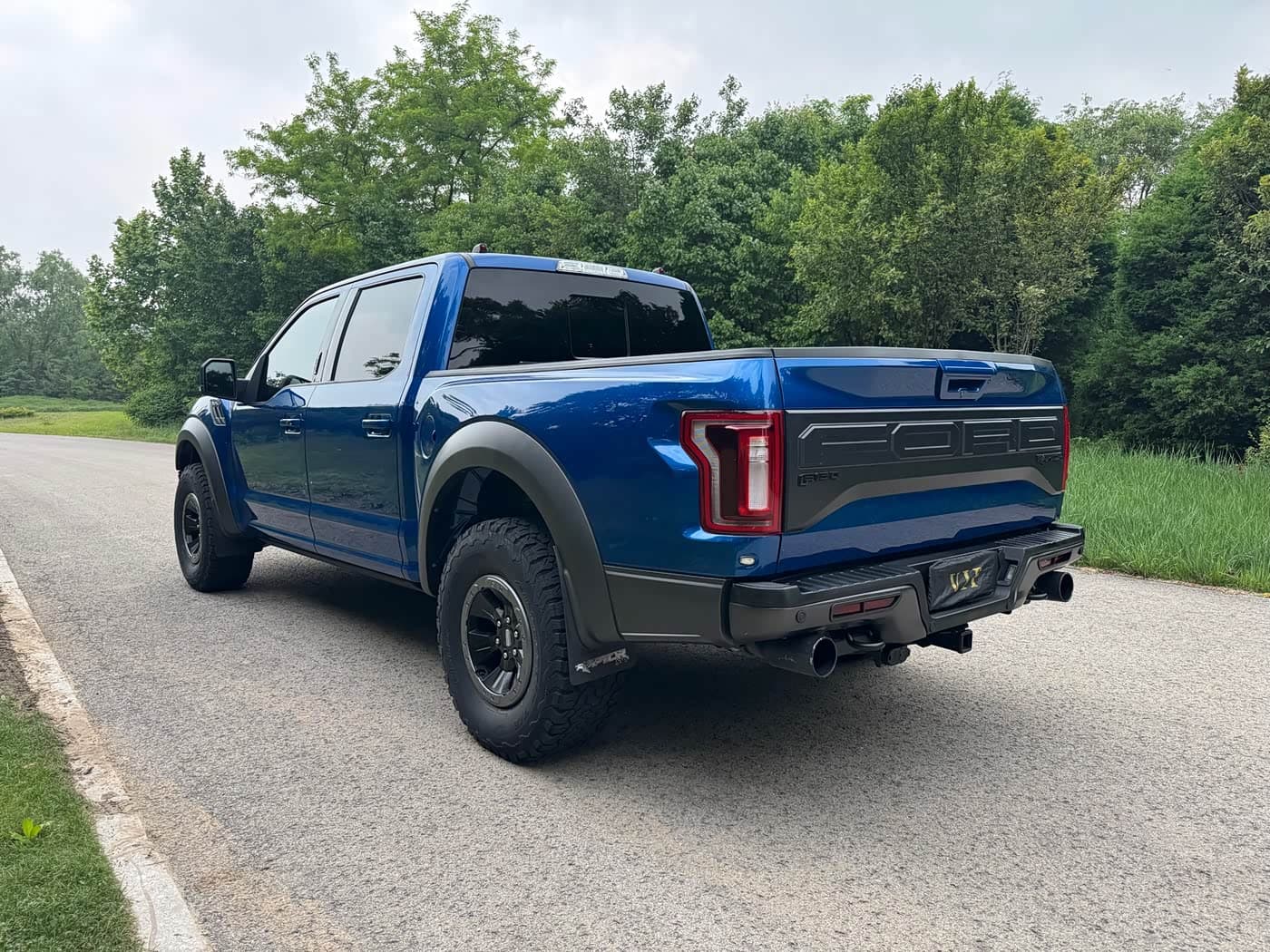 Ford F-150 Raptor 2017 — Фото 6/9