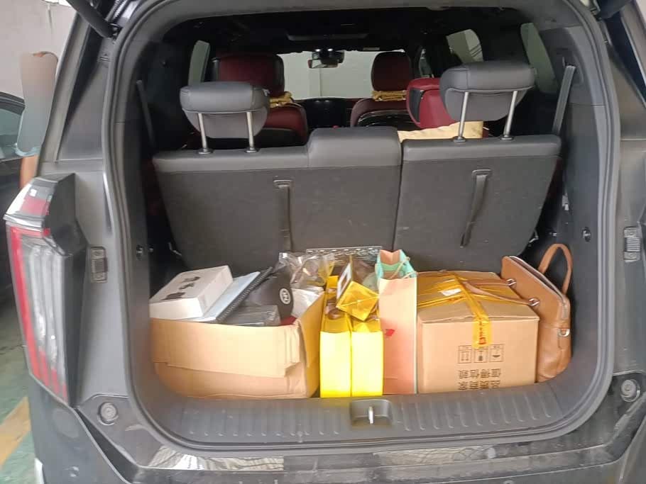 GAC Trumpchi Trumpchi M8 2024 — Фото 4/16