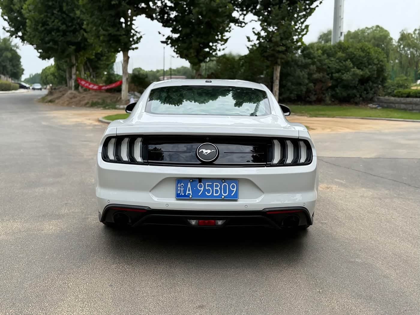 Ford Mustang 2019 — Фото 6/10