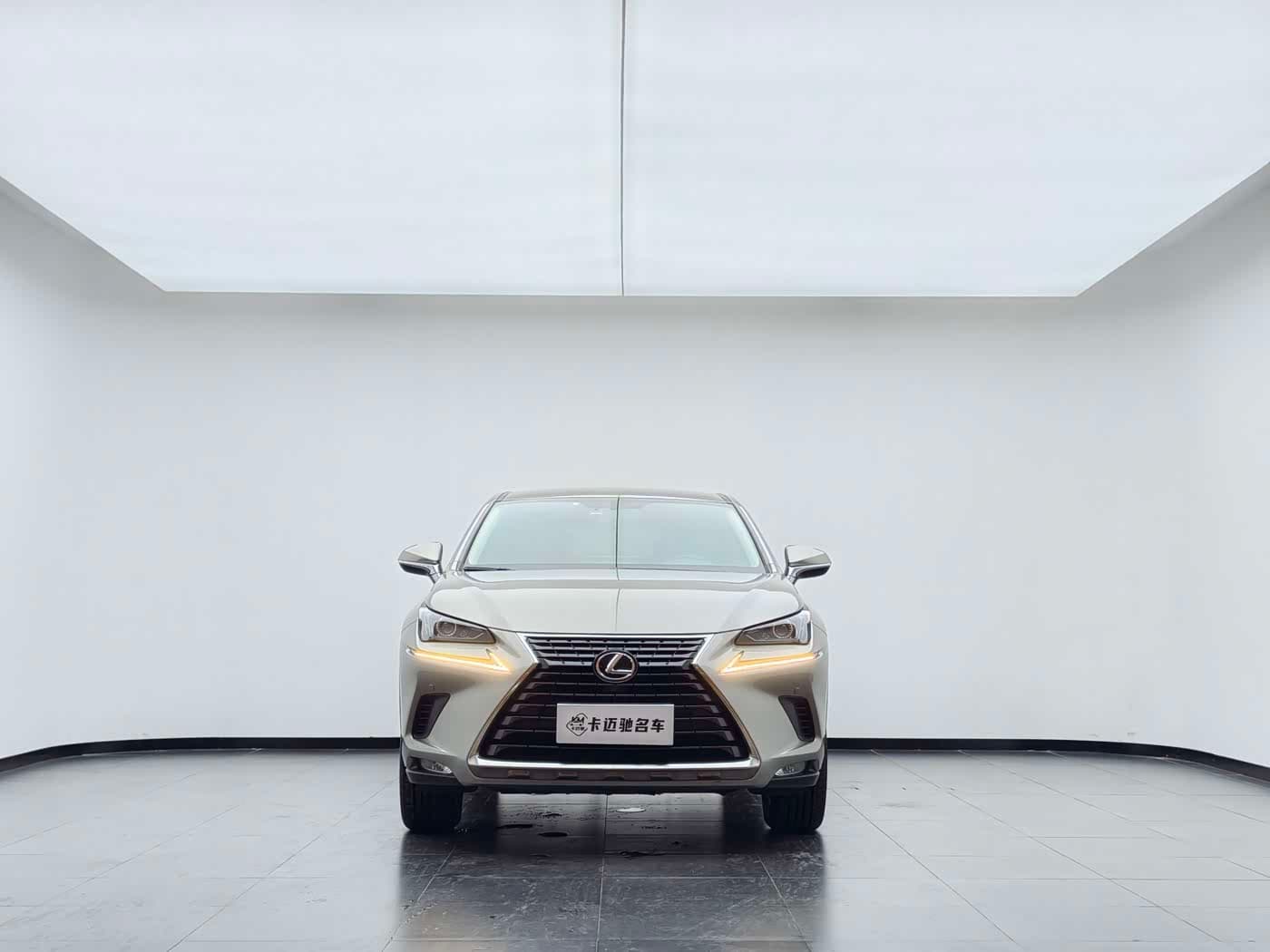 Lexus NX 2019 — Фото 3/20