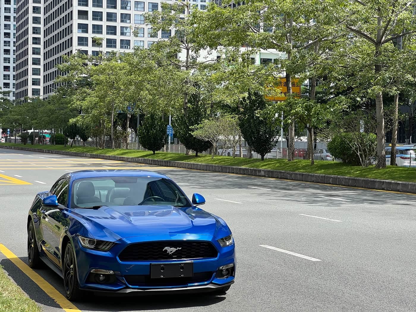 Ford Mustang 2017 — Фото 3/17