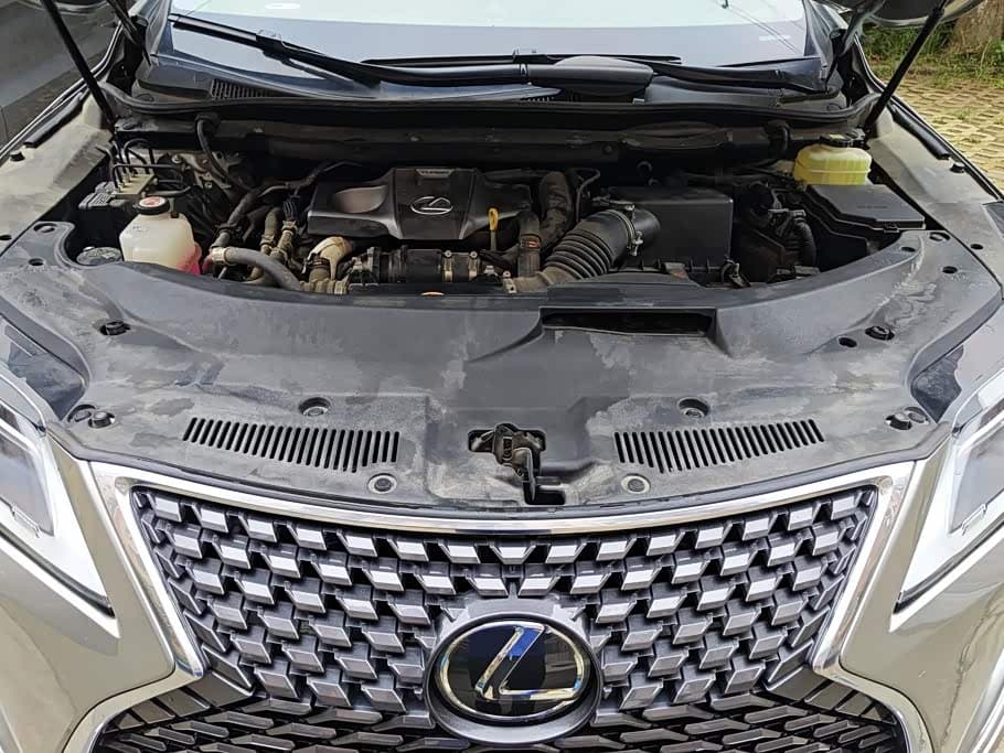 Lexus RX 2022 — Фото 10/16