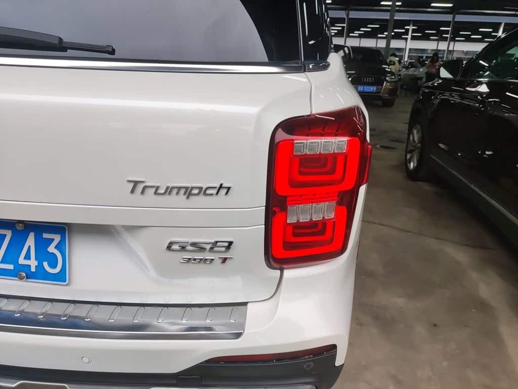 GAC Trumpchi Trumpchi GS8 2021 — Фото 8/20