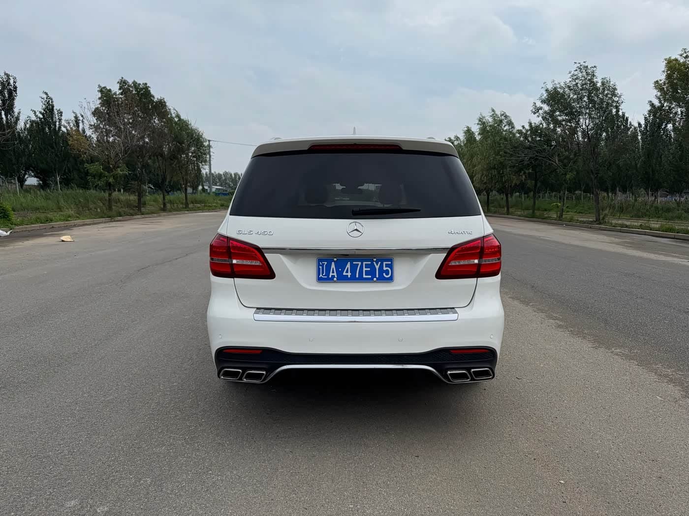 Mercedes-Benz GLS 2017 — Фото 8/20