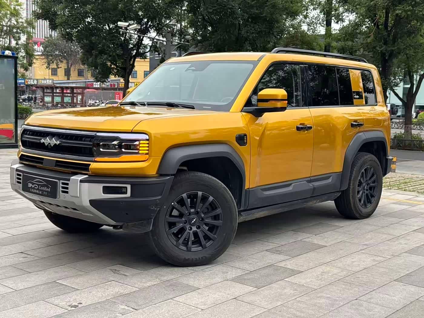 Fang Cheng Bao Leopard 5, 2024