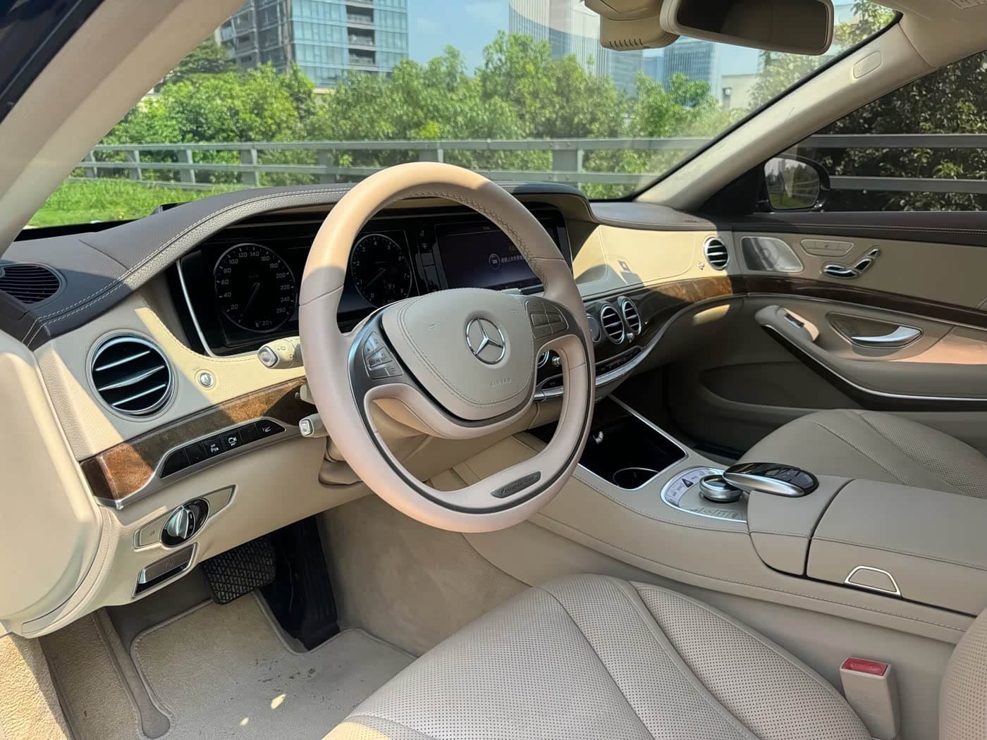 Mercedes-Benz S-Class 2017 — Фото 13/18