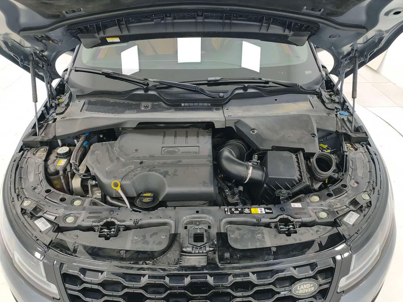 Land Rover Range Rover Evoque 2021 — Фото 16/16