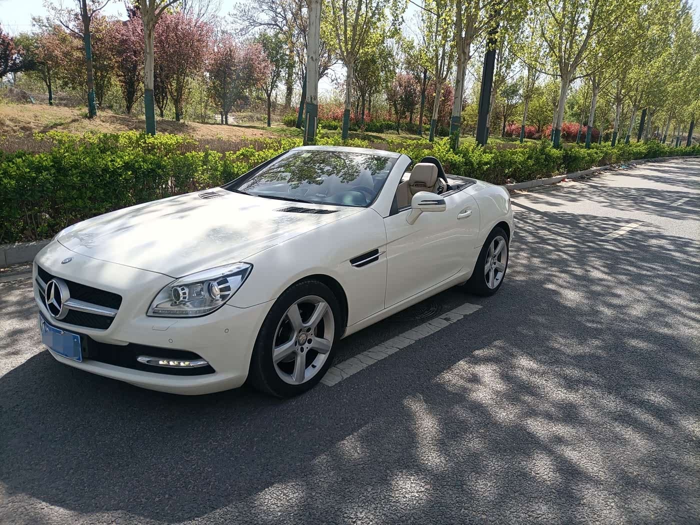 Mercedes-Benz SLK-Class 2014 — Фото 1/10