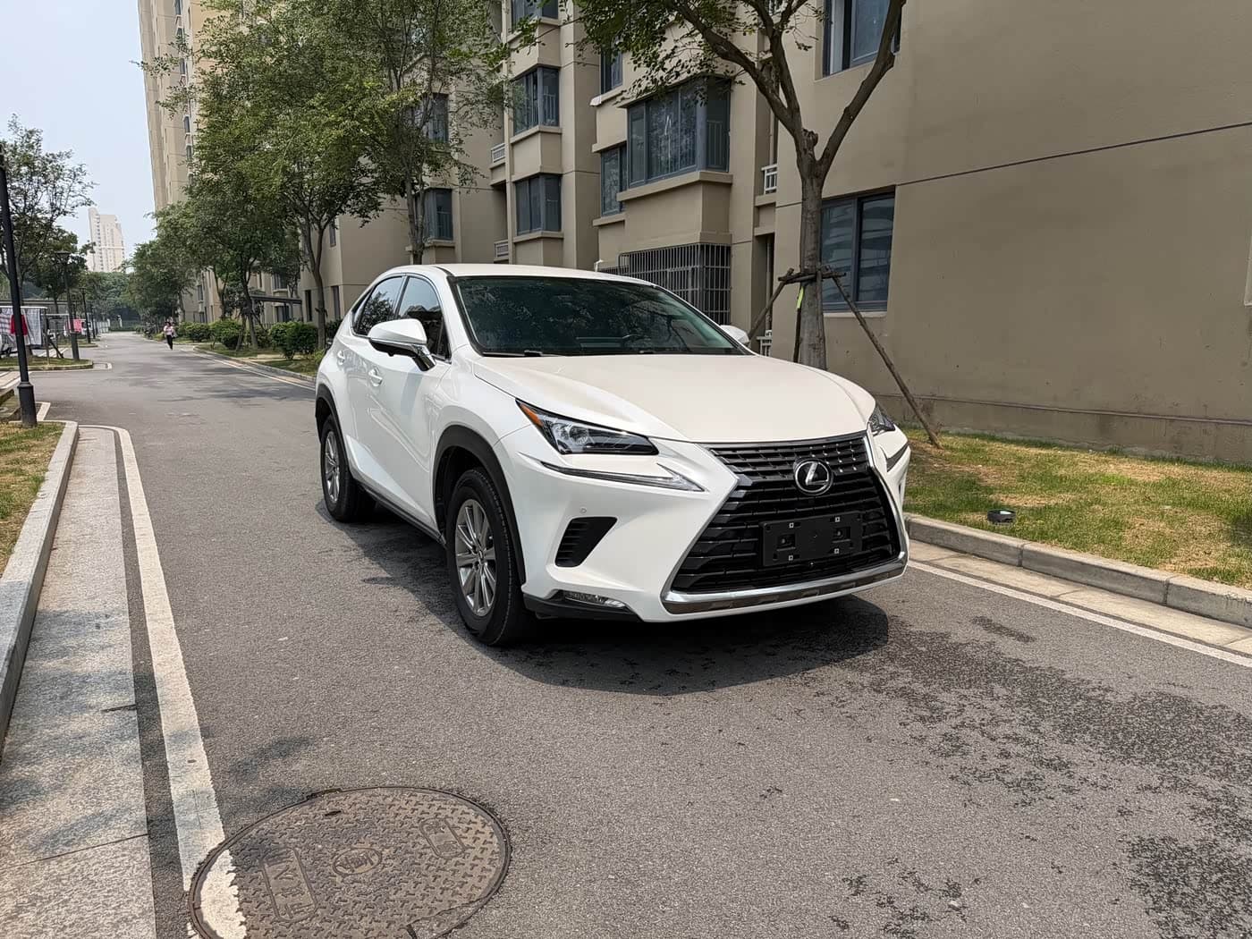 Lexus NX 2019 — Фото 3/12