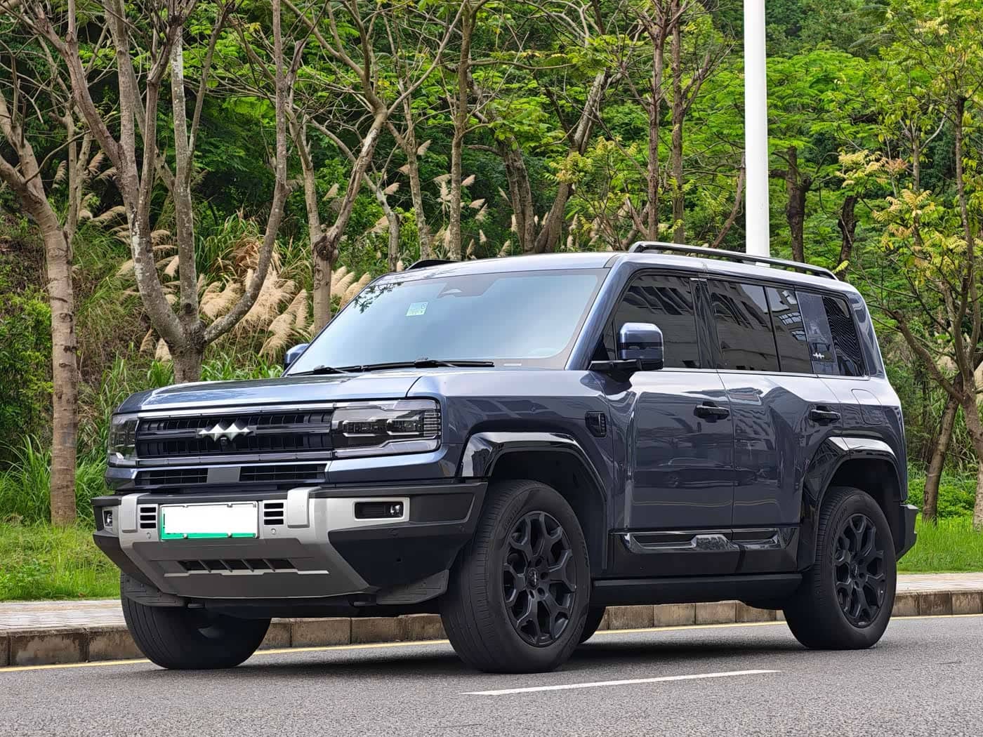Fang Cheng Bao Leopard 5, 2024