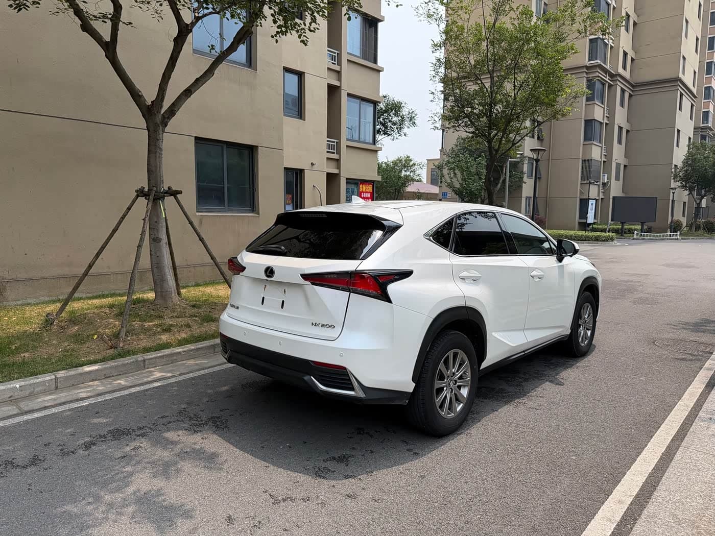 Lexus NX 2019 — Фото 10/12