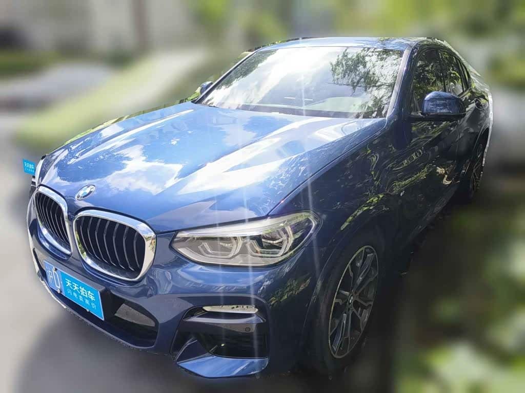 BMW X4 2019 — Фото 1/13