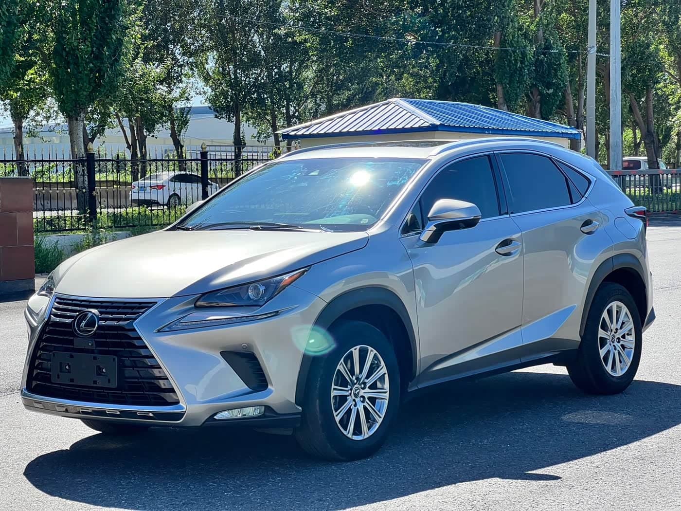 Lexus NX 2021 — Фото 1/20
