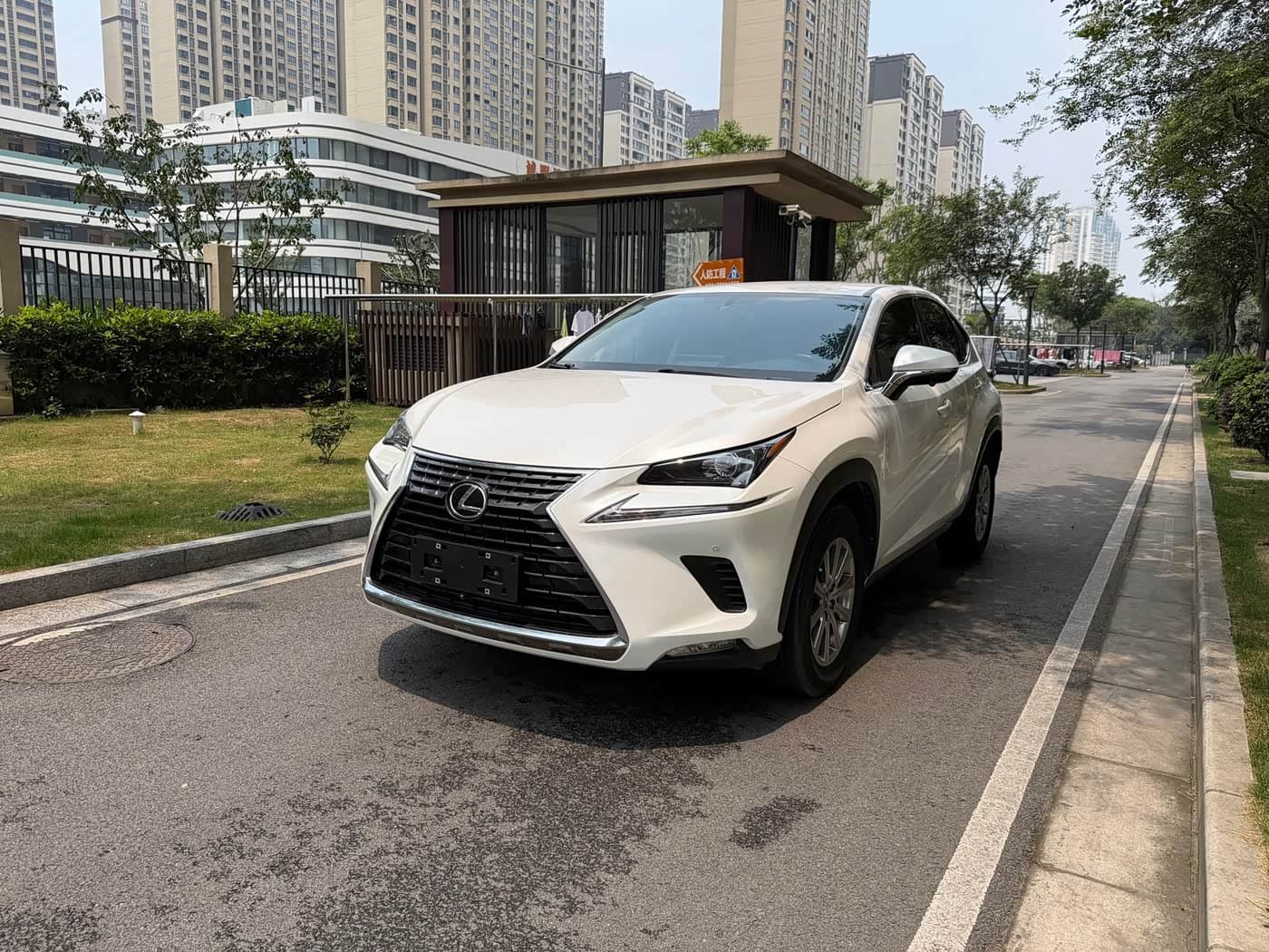 Lexus NX 2019 — Фото 1/12