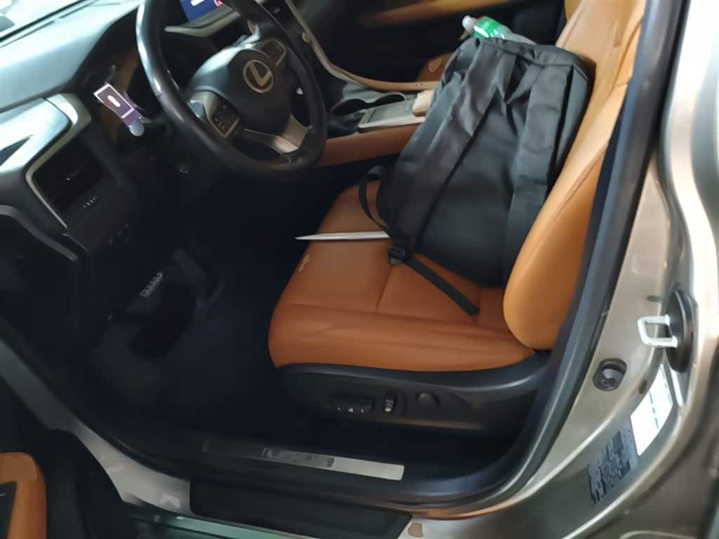 Lexus RX 2020 — Фото 15/20