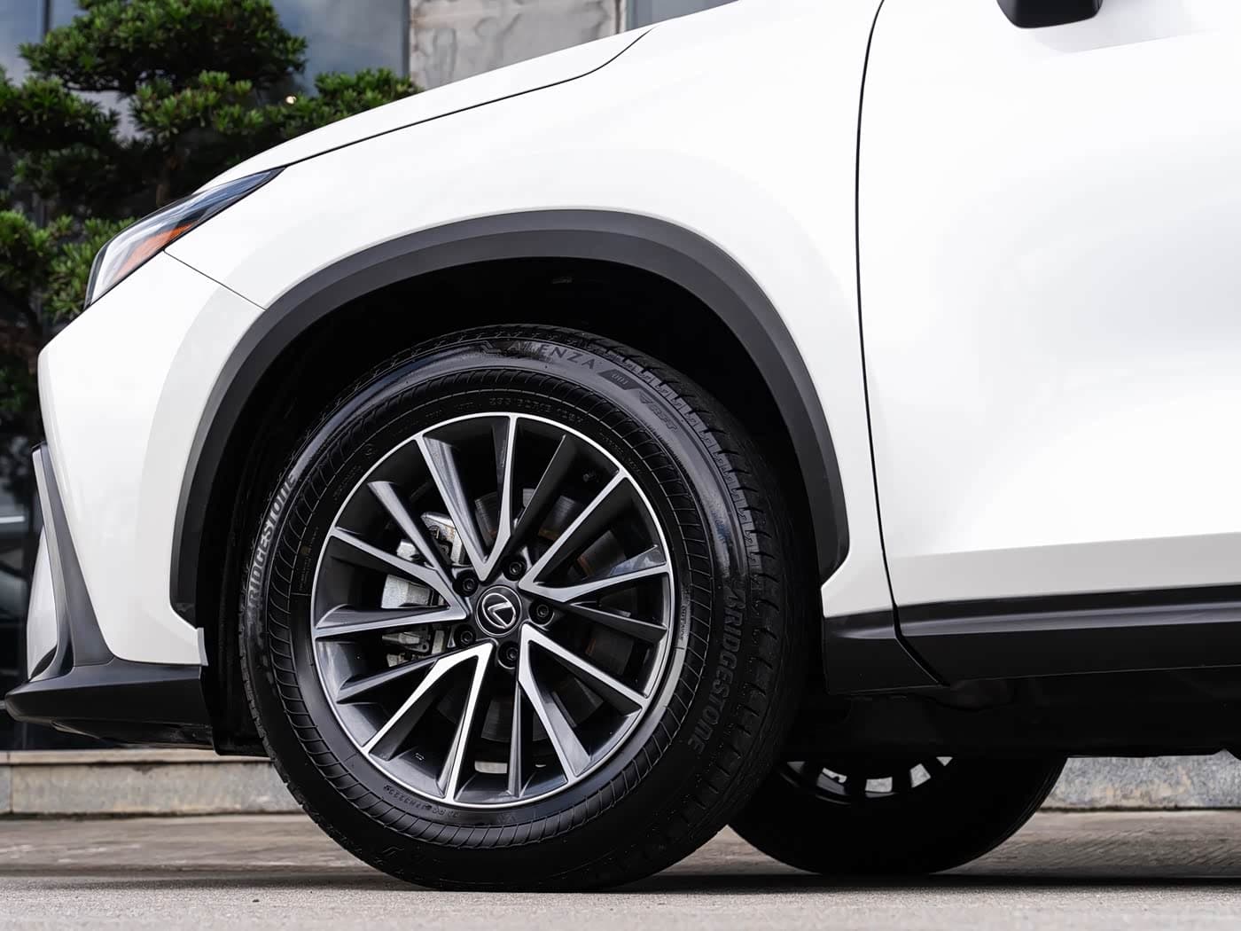 Lexus NX 2023 — Фото 8/20