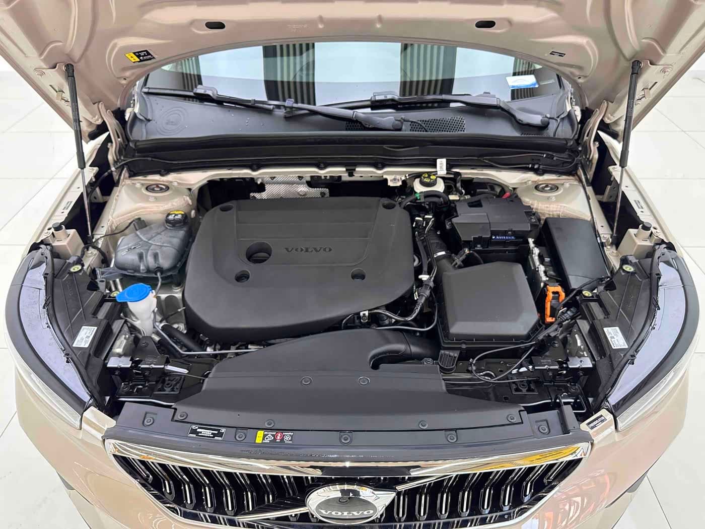 Volvo XC40 2024 — Фото 9/9