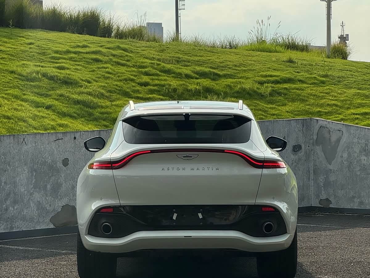 Aston Martin DBX 2022 — Фото 8/20