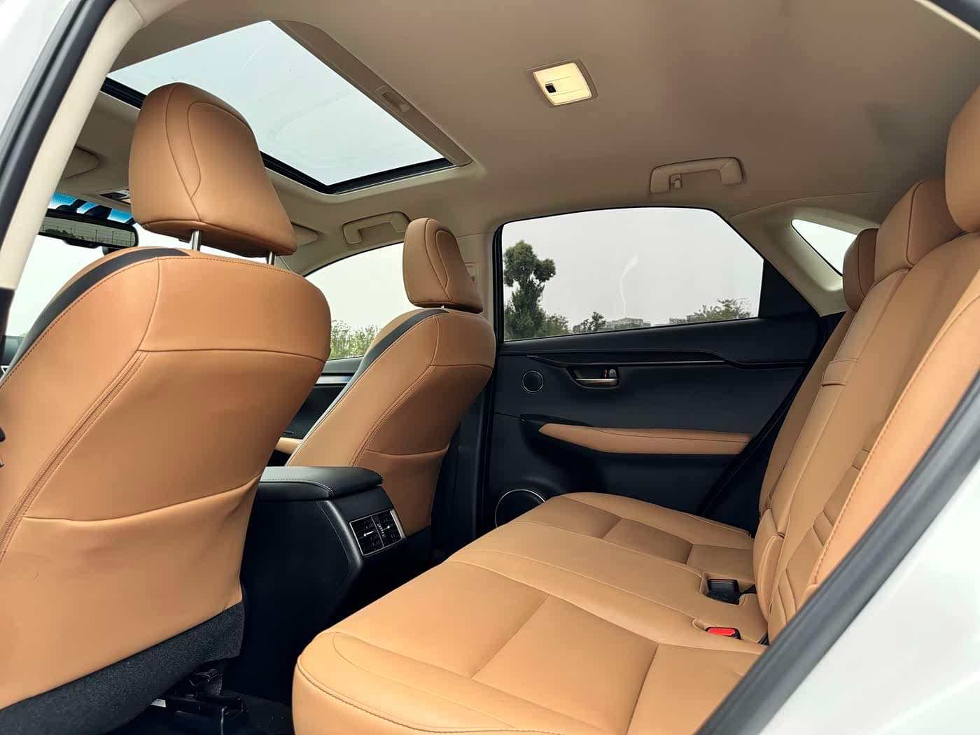 Lexus NX 2017 — Фото 8/18