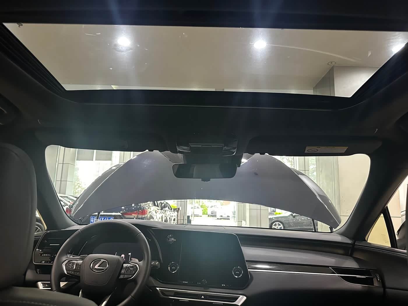 Lexus RX 2025 — Фото 19/20