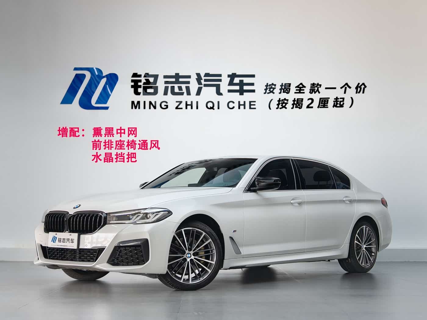 BMW 5 Series 2021 — Фото 1/17