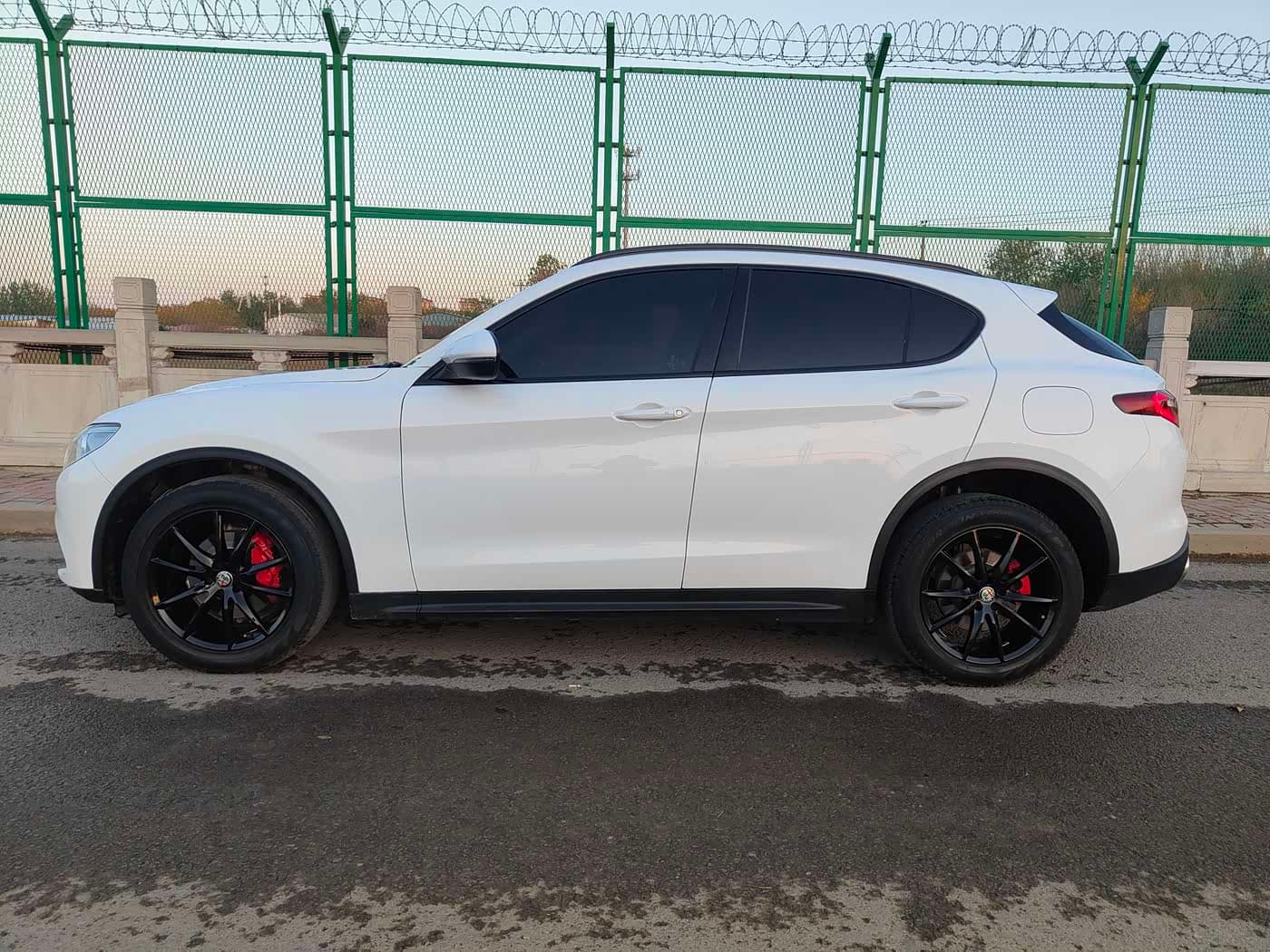 Alfa Romeo Stelvio 2019 — Фото 4/16