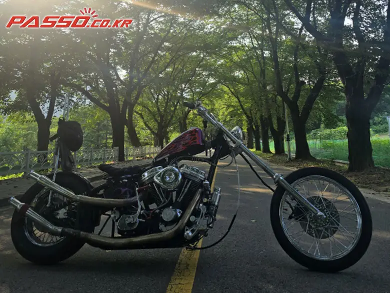 Harley-Davidson Softail
