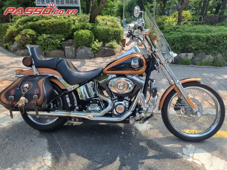 Harley-Davidson Softail Custom