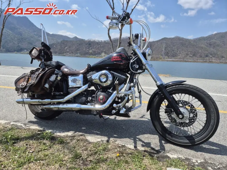 Harley-Davidson Dyna Street Bob