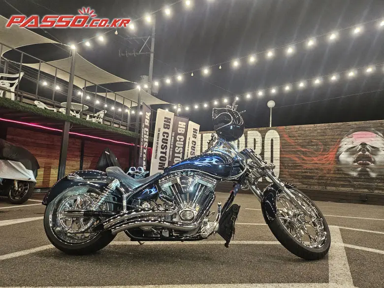 Arlen Ness Lowliner