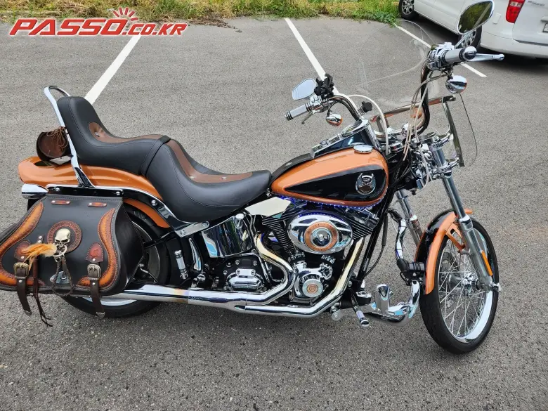 Harley-Davidson Softail