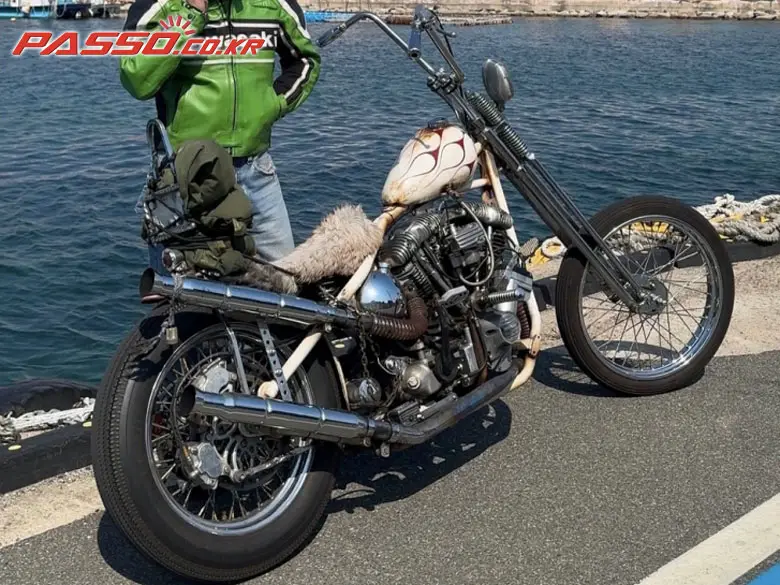 Harley-Davidson FLH