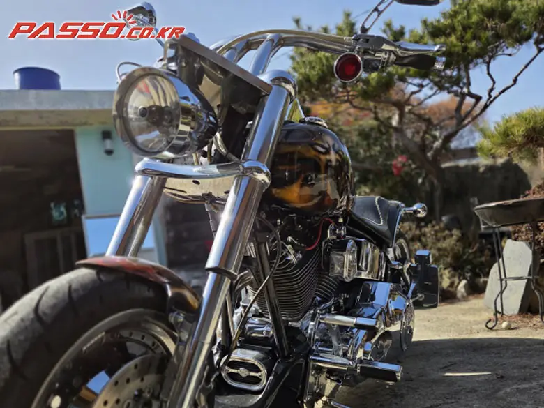 Harley-Davidson Fat Boy S