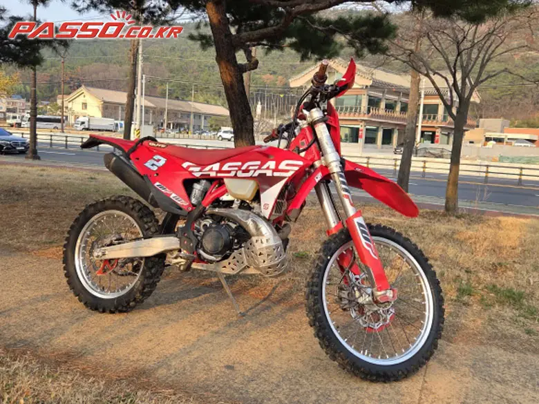 GasGas Pro 300