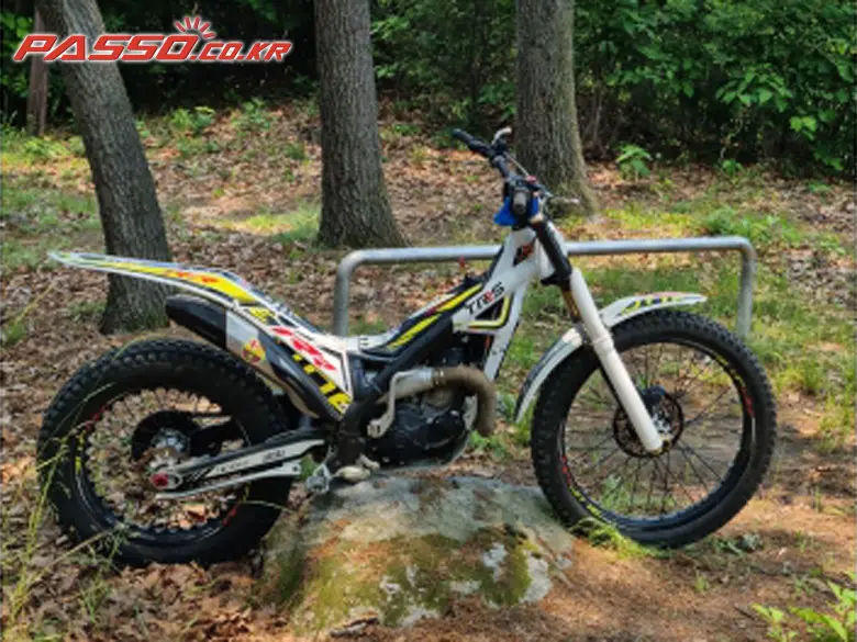 GasGas Pro 300