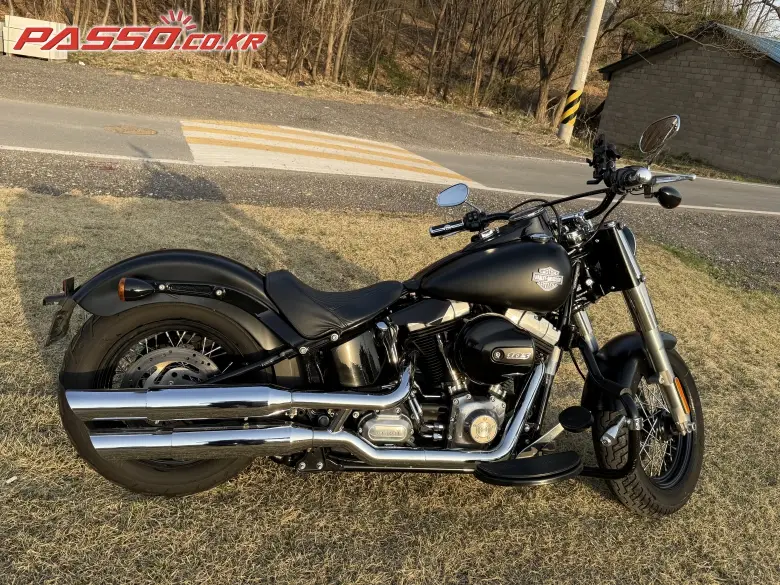Harley-Davidson Softail