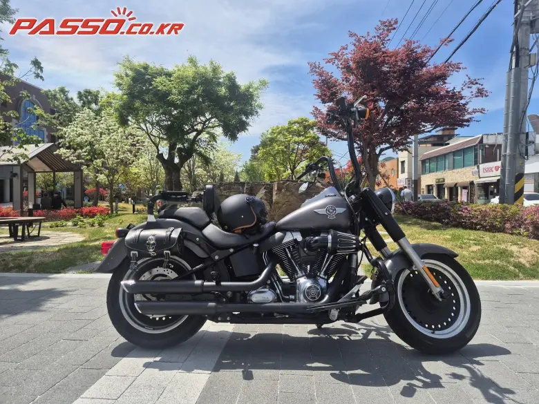 Harley-Davidson Fat Boy Special