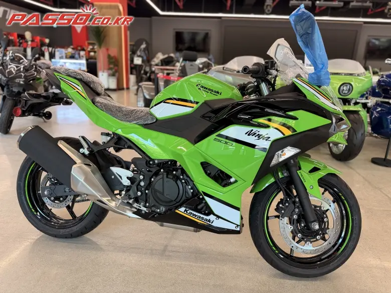 Kawasaki Ninja 500 R