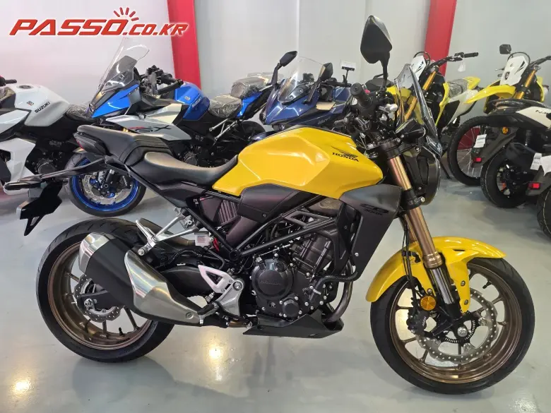 Honda CB 300 R