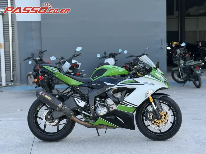 Kawasaki Ninja 6 R