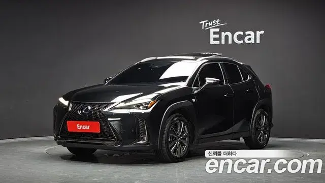 Lexus UX250h, 2020
