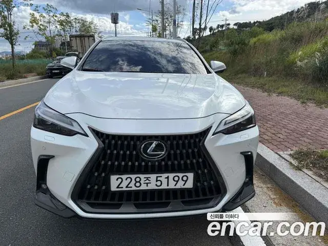 Lexus NX450h+, 2024