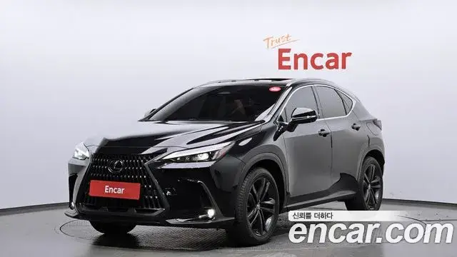 Lexus NX350h, 2023