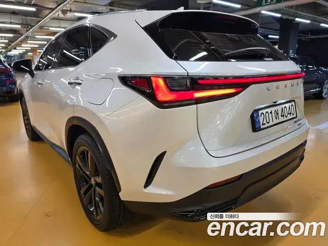 Lexus NX350h, 2025