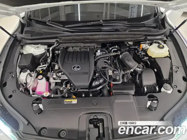 Lexus RX500h, 2025