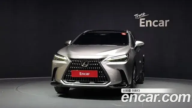 Lexus NX350h, 2025